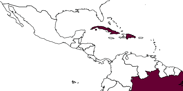map of Anisepyris jocundus     Evans, 1966